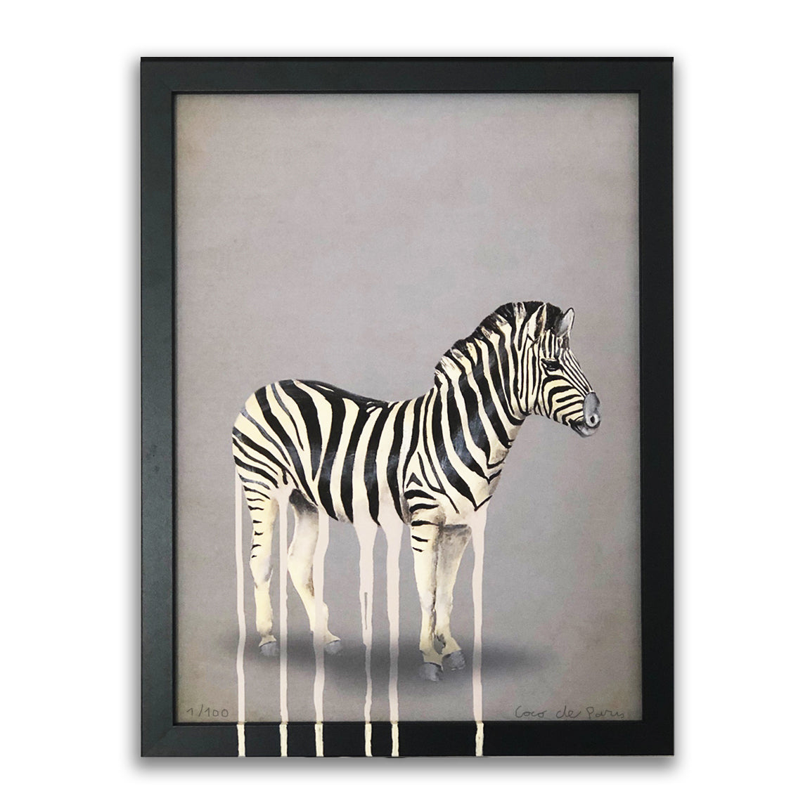 Dripping zebra