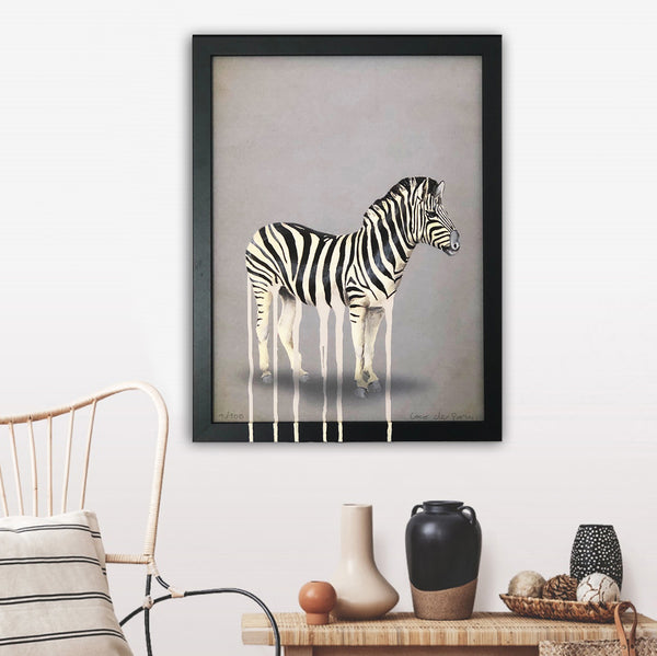 Dripping zebra