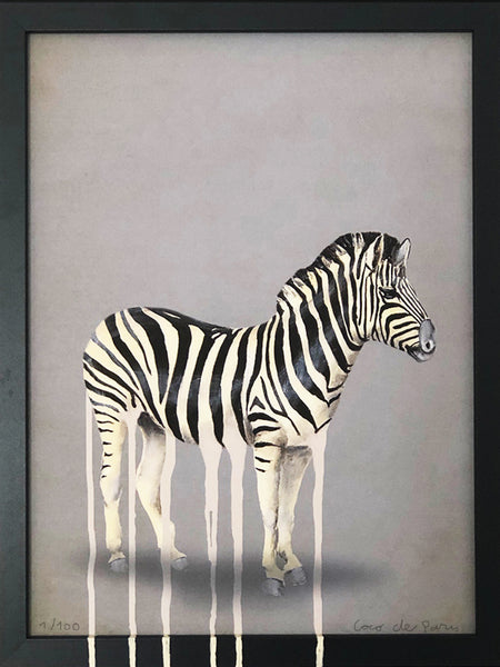 Dripping zebra