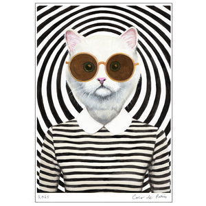 Stripy Cat