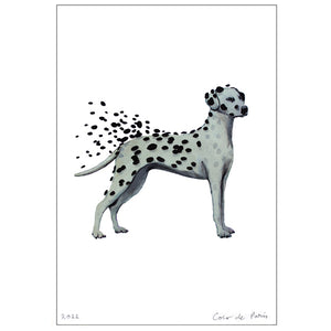 Dalmatian in the storm Art Print by Coco de Paris