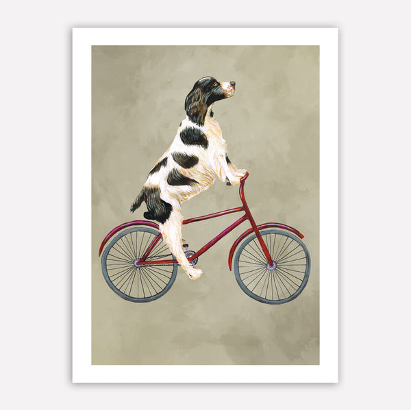 English Springer on bicycle Art Print by Coco de Paris