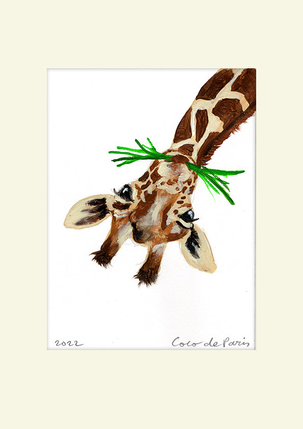 Giraffe eating grass original painting by Coco de Paris