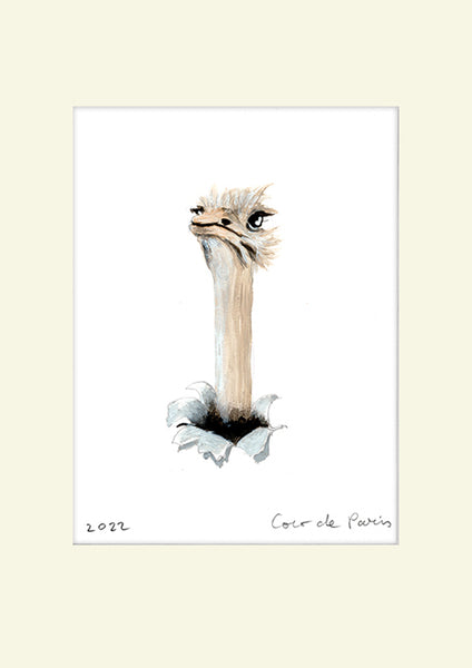Ostrich popping out of paper, original painting by Coco de Paris