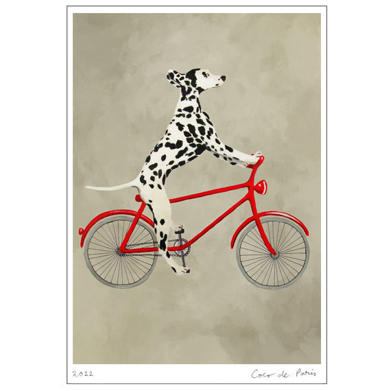 Dalmatian cycling Art Print by Coco de Paris