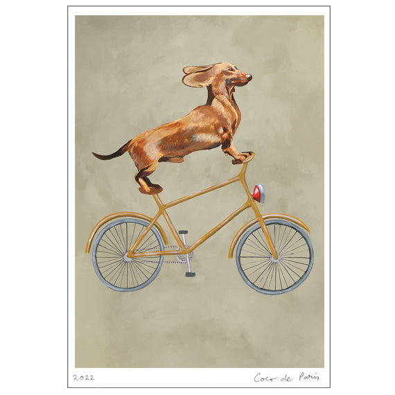 Dachshund on bicycle Art Print by Coco de Paris