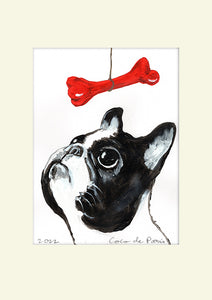 Frenchie with red bone original painting by Coco de Paris