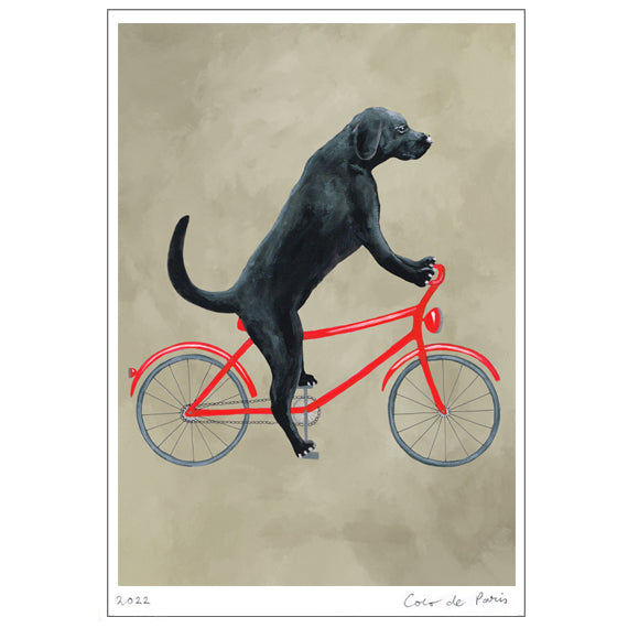 Labrador on bicycle Art Print by Coco de Paris