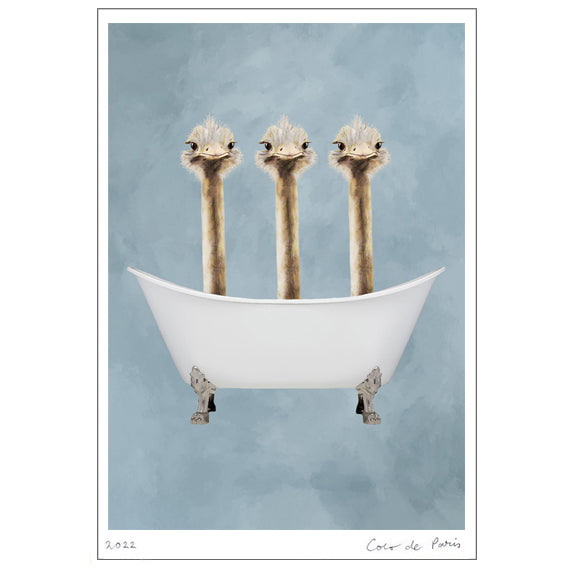 Ostriches in bathtub Art Print by Coco de Paris