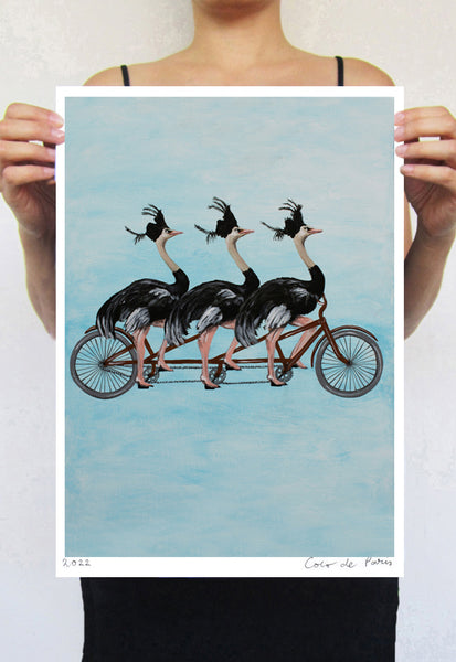Ostriches on bicycle Art Print by Coco de Paris