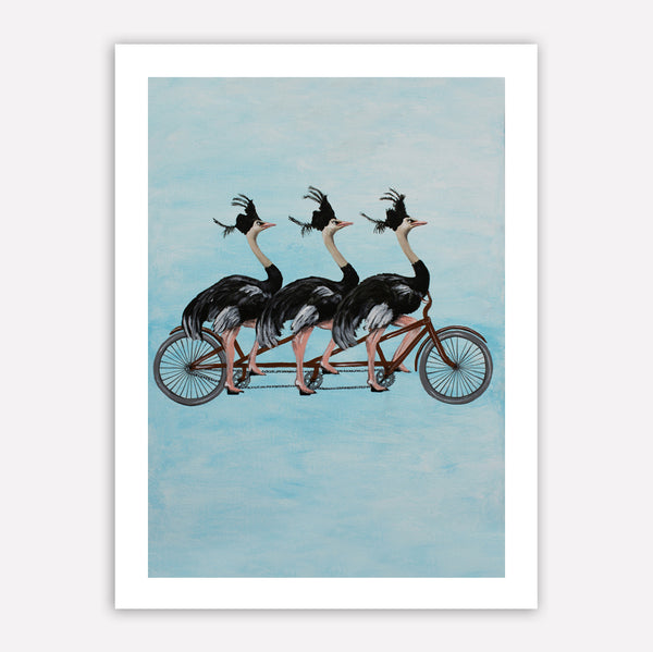 Ostriches on bicycle Art Print by Coco de Paris