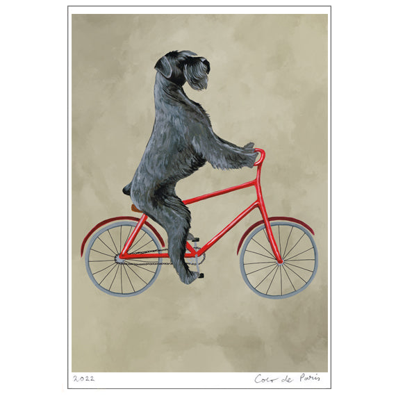 Schnautzer on bicycle Art Print by Coco de Paris