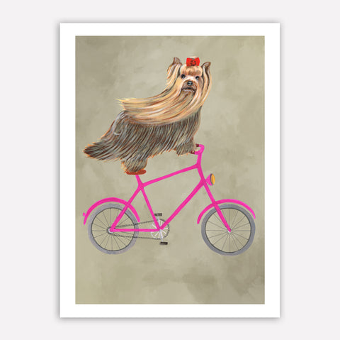 Yorkshire on bicycle Art Print by Coco de Paris